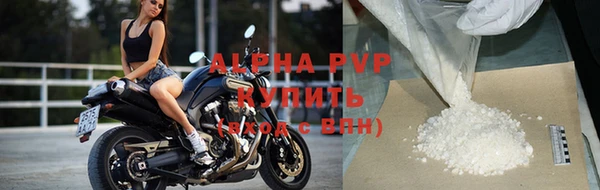 прущие крисы Алзамай