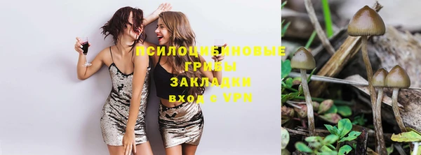 прущие крисы Алзамай