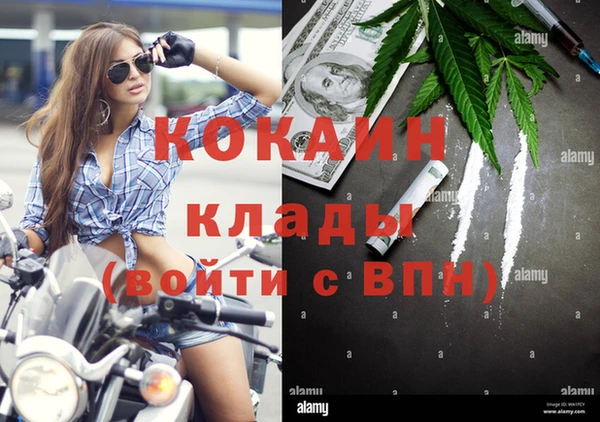 прущие крисы Алзамай
