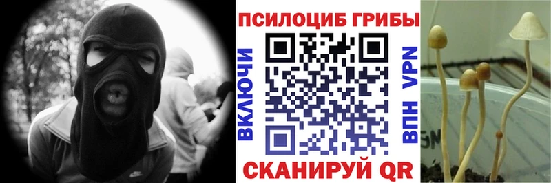 наркотики  Николаевск  Галлюциногенные грибы Magic Shrooms 